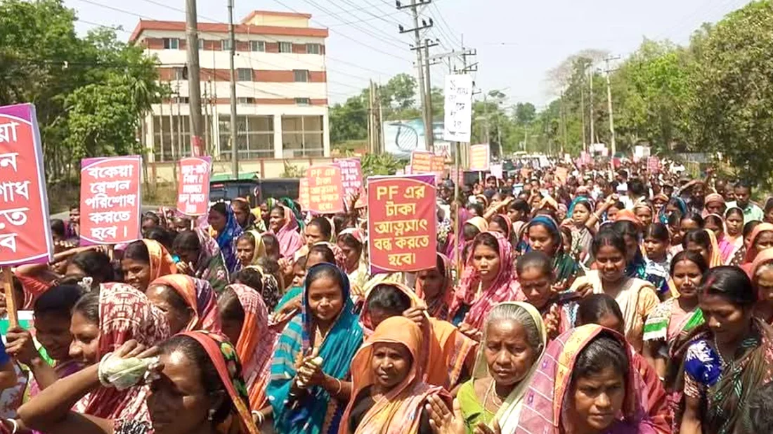 সিলেটের চা–শ্রমিকদের ১১ দফা দাবিতে বিক্ষোভ মিছিল